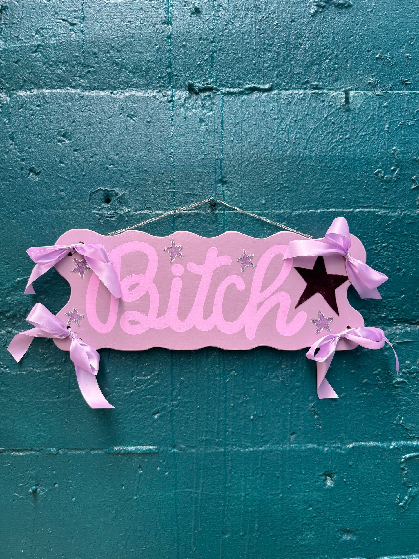 "Bitch" painted sign (24x8)