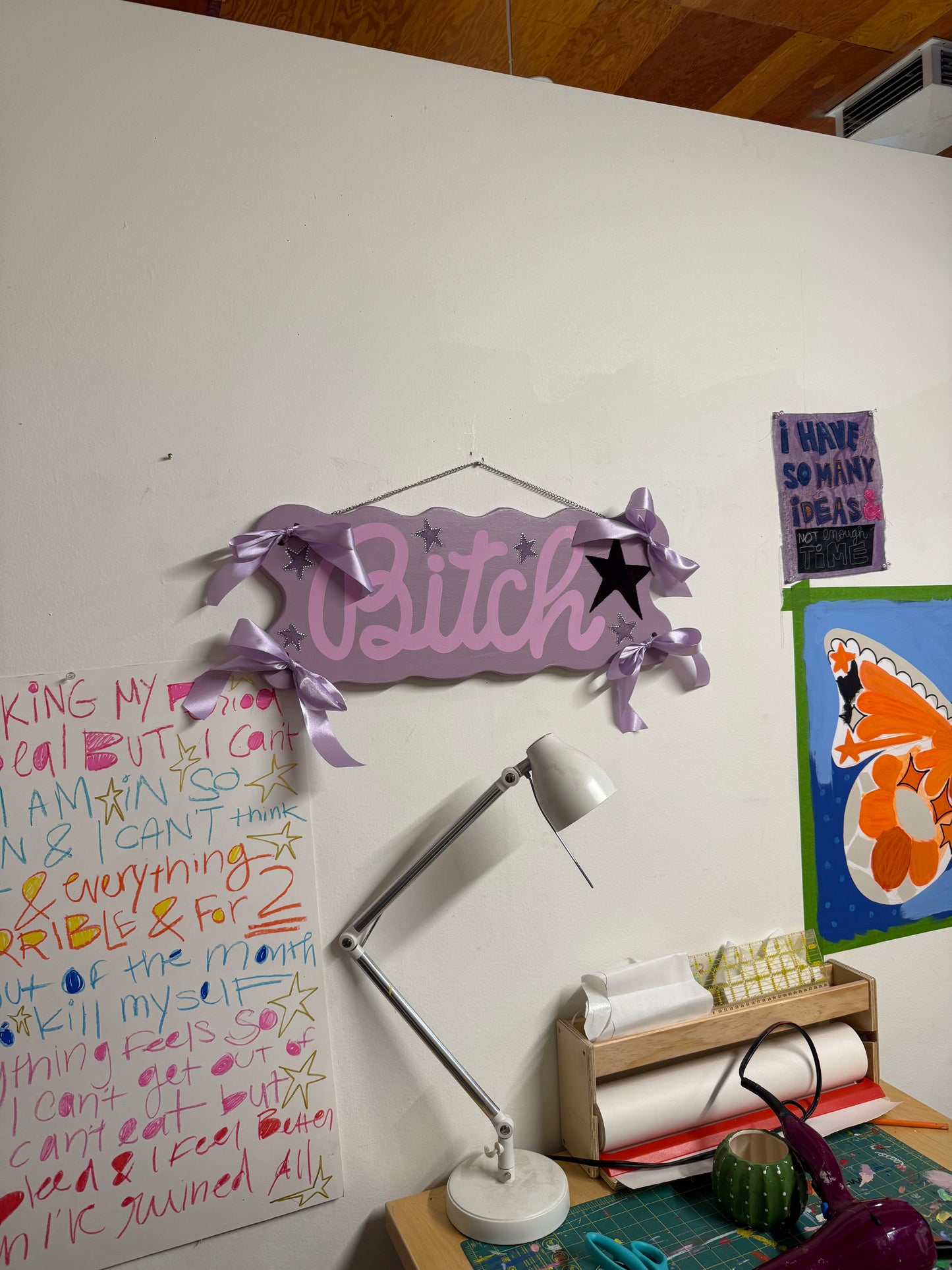 "Bitch" painted sign (24x8)
